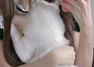 无圣光版兔兔管家全集，miko酱ww调皮又可爱，你敢来挑战吗？